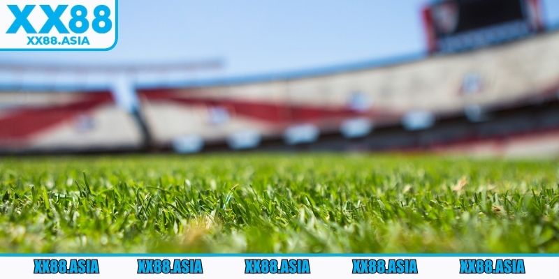 Người chơi nên cân nhắc khi lựa chọn các loại kèo phổ biến tại XX88